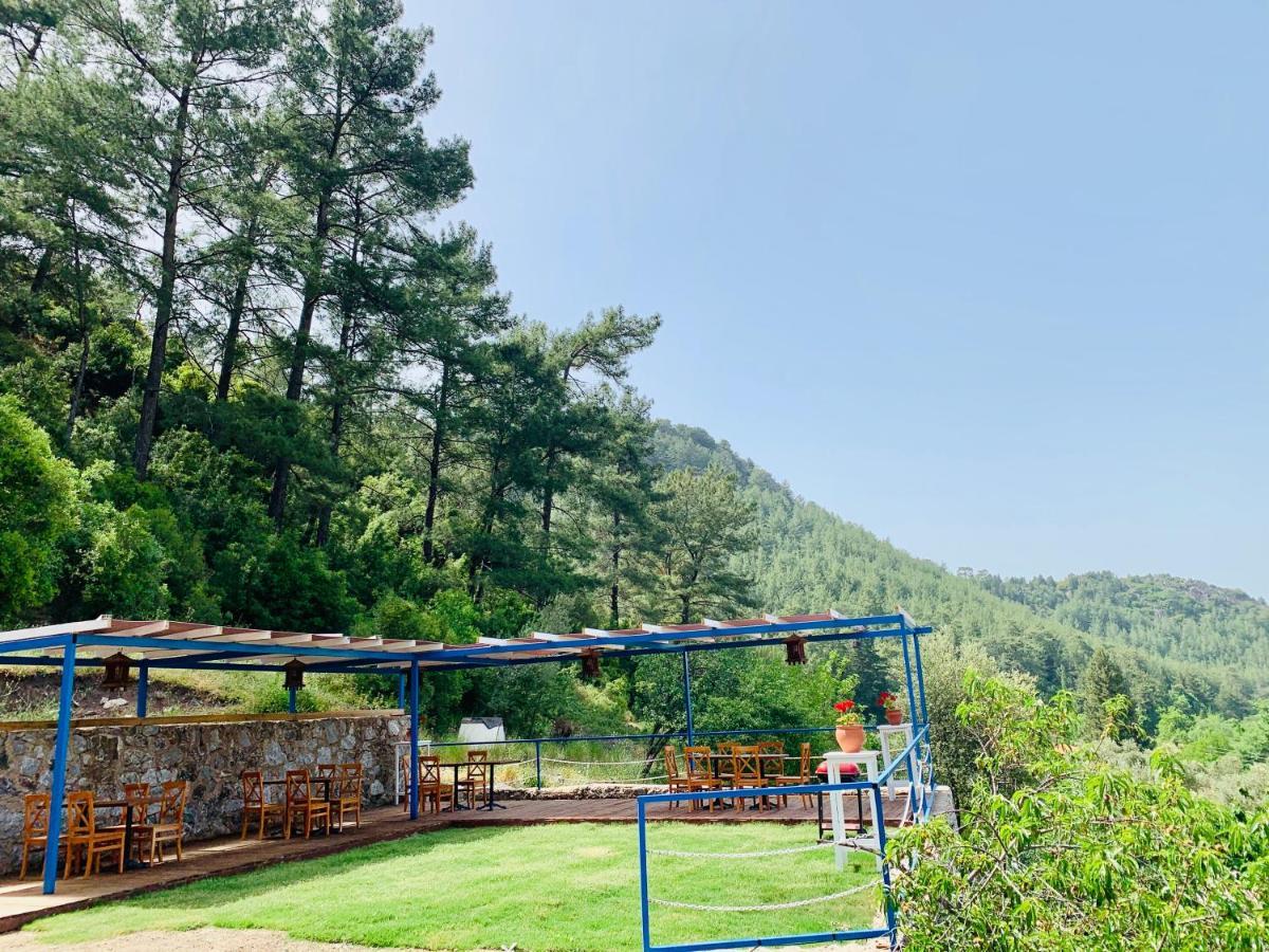 Alp Inn Villas Turunç Exterior foto